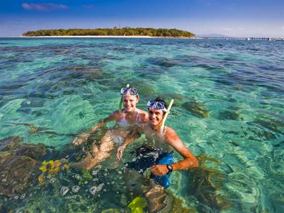 Big Cat Green Island Reef Cruises - Day Tour
