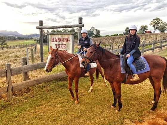 Murchessons Equine Wine And Dine Tours