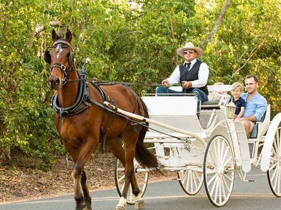 Darwin Horse and Carriage