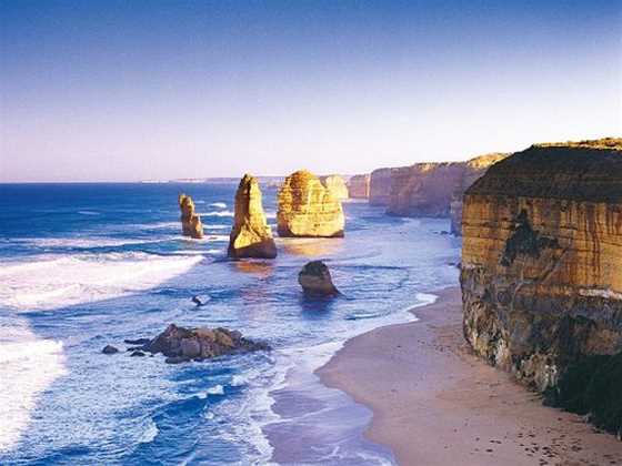 Otway Discovery Great Ocean Road Tours