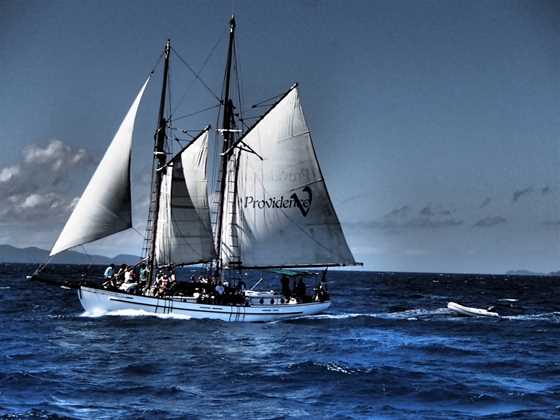 Whitsunday Sailing