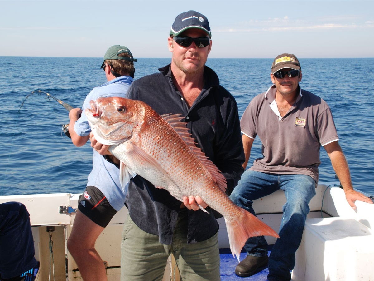 Snapper  Fishing Tasmania