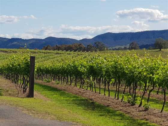 Hunter Valley Private Wine Tours & Transfers