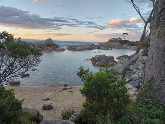Bay of Fires Eco Tours