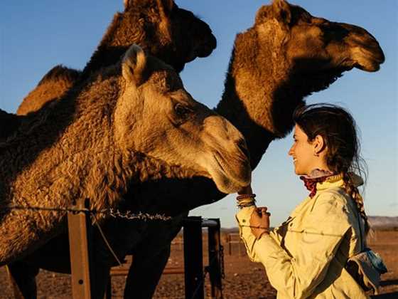 Camel Treks Australia