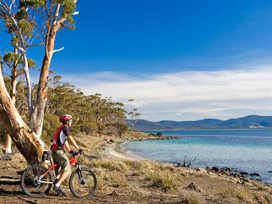 Australian Cycle Tours
