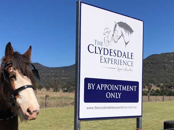 The Clydesdale Experience
