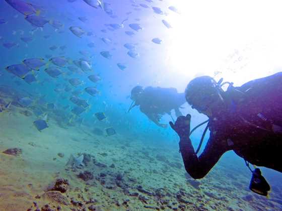 Queensland Scuba Diving Company