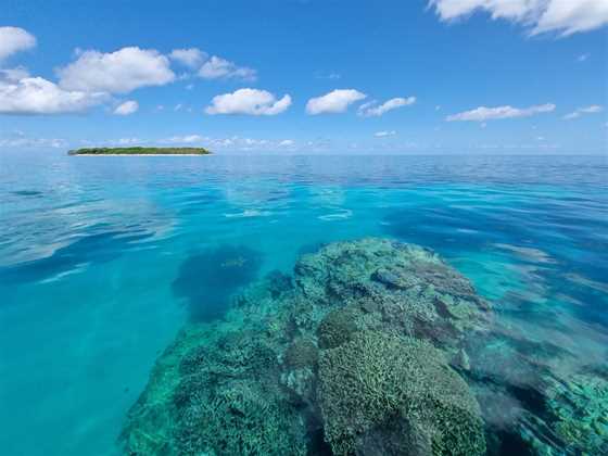 1770 Reef Great Barrier Reef Eco Tours