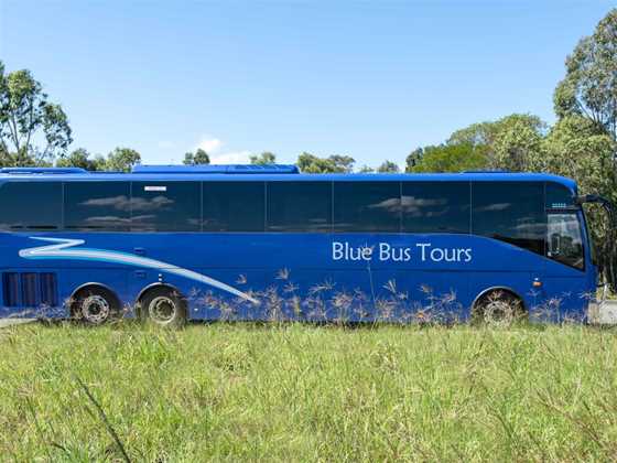 Blue Bus Tours
