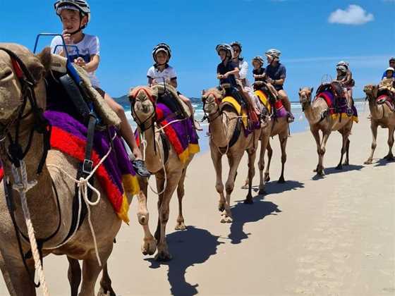 Noosa Camel Rides
