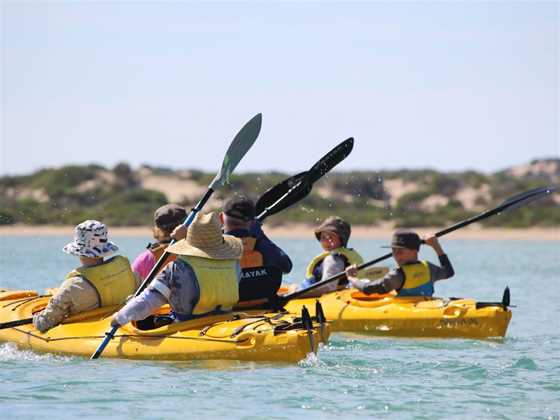 Canoe the Coorong Sunset Tour