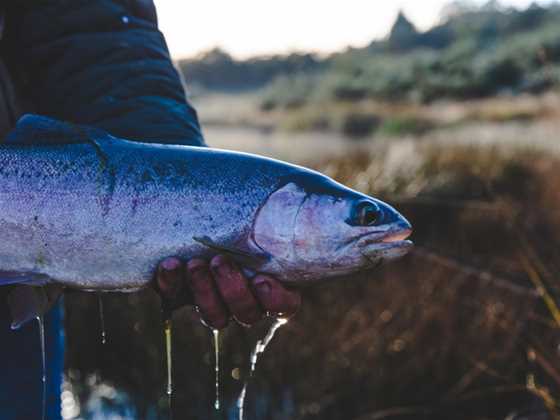 Twin Lakes - Bush Retreat & Fly Fishery