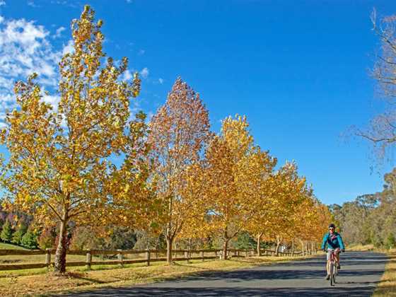 Australian Cycle Tours