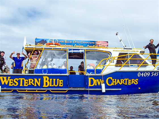Western Blue Dive & Charters