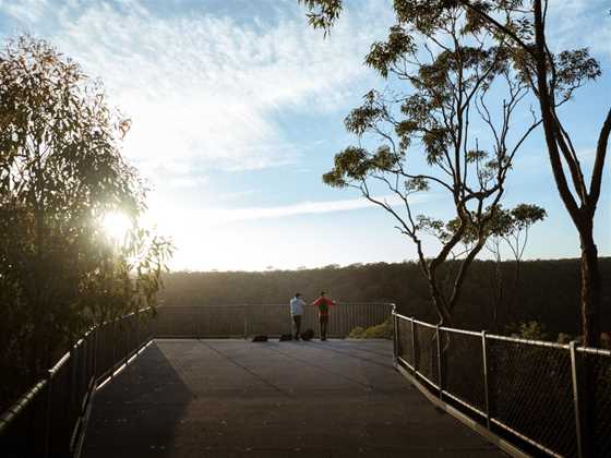 Guided Indigenous Walks in Dharawal National Park