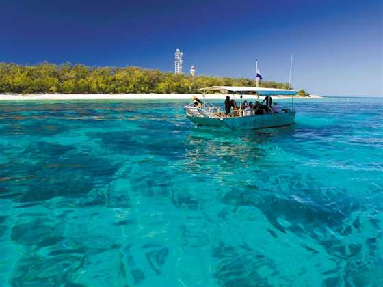 Great Barrier Reef Day Trip to Lady Elliot Island from Bundaberg
