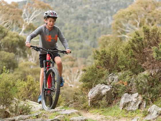 Guided Upper Thredbo Valley Track Tour