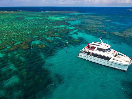 Wavelength Reef Cruises - Full Day Outer Reef Snorkel Tour