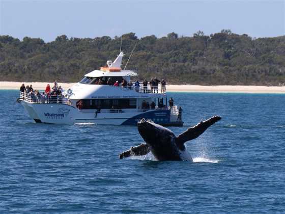 Whalesong Cruises - Whale Watching in Hervey Bay