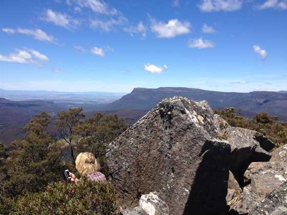 Great Western Tiers Forest Walks Tasmania