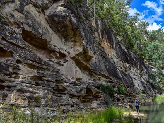 Central Queensland Nature Tours