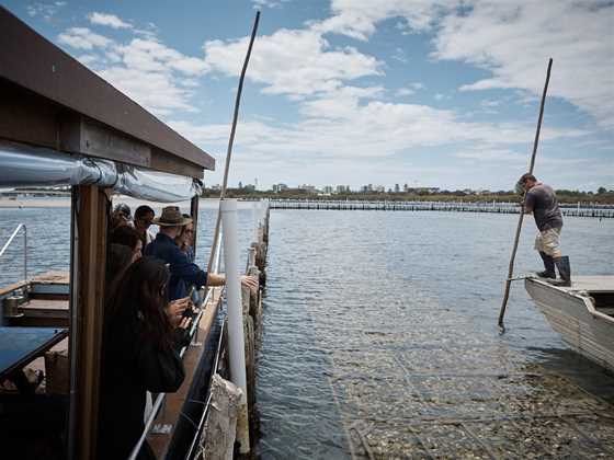 Farm to Plate Oyster Tours