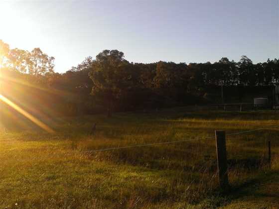 Hunter Valley Horse Riding and Adventures