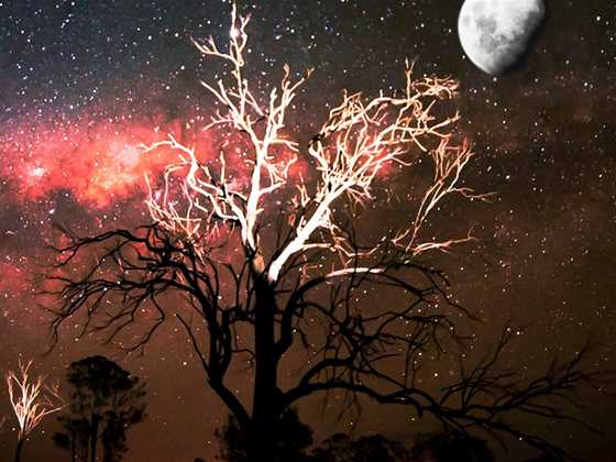 Bunya Mountains Astrophotography Experience