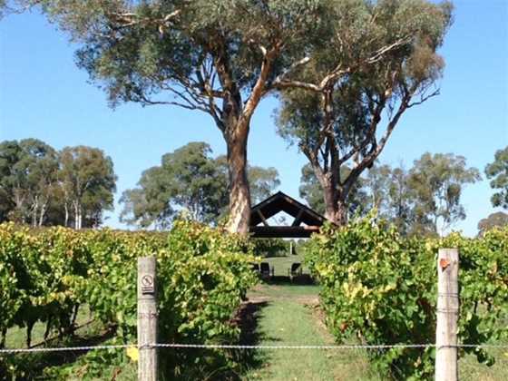 Canberra Winery Tours