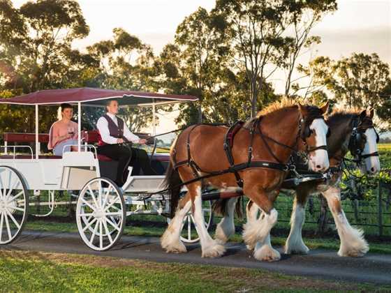 Carriage of Occasion Horse Drawn Wine Tour