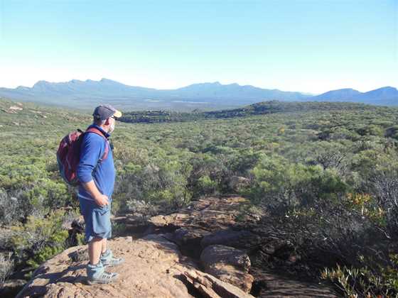 Walking the Flinders Ranges - Three and Five Day Guided Bushwalks