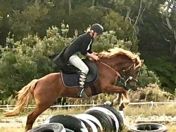 Horse works specialised Training &