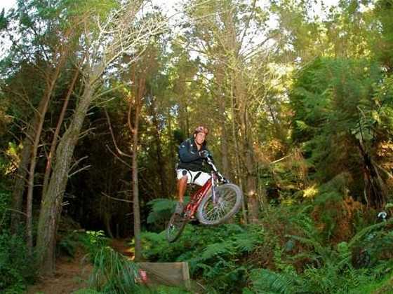 Mountain Bike Rotorua- Day Tours