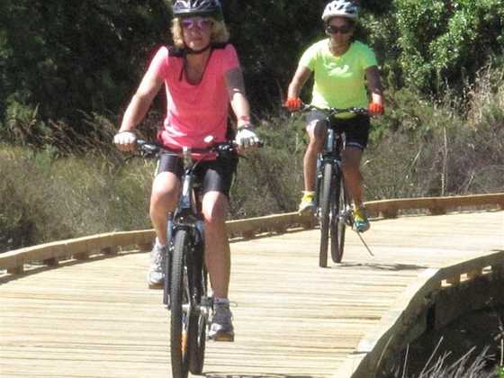Nelson Cycle Hire and Tours
