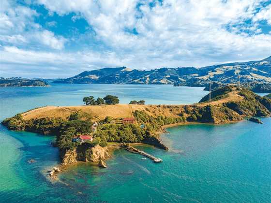 Otago Water Taxis and Tours