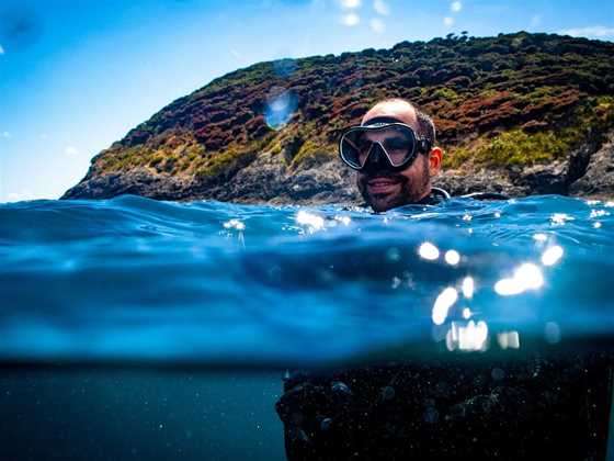Waiheke Dive and Snorkel