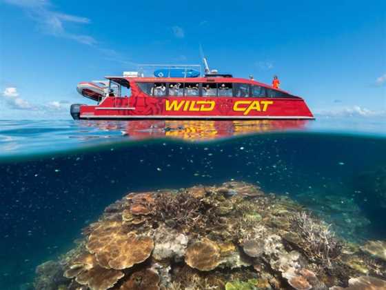 Red Cat Great Barrier Reef Tour From Airlie Beach