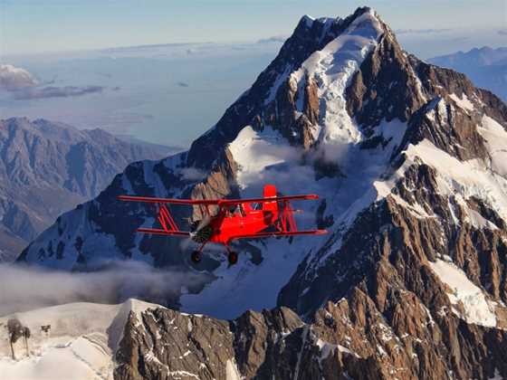 Red Cat Biplane Flights