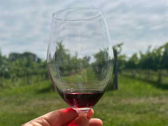 Canberra Wine Tours by Grape Escapes 