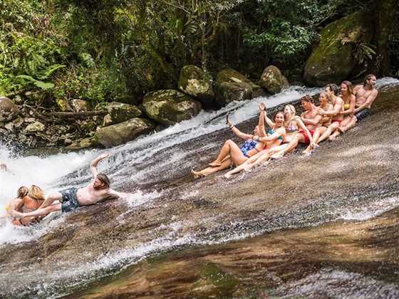 Cairns Waterfall & Rainforest Tour