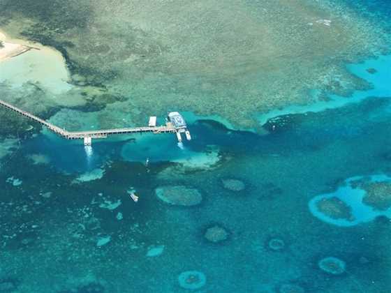 40-Minute Great Barrier Reef Scenic Flight 