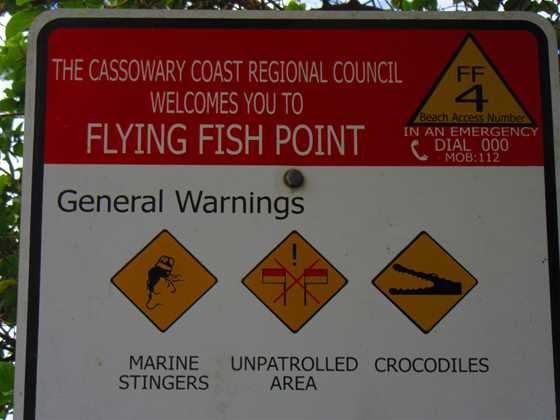 Flying Fish Point