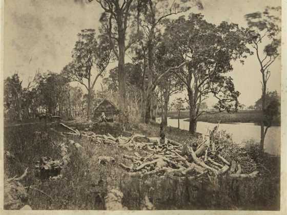 Victoria Plantation