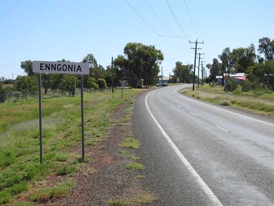 Enngonia