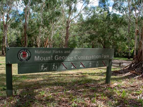 Mount George