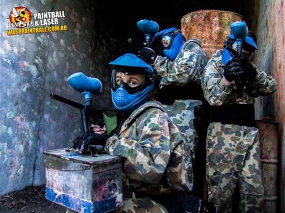 WASP PAINTBALL & LASER TAG