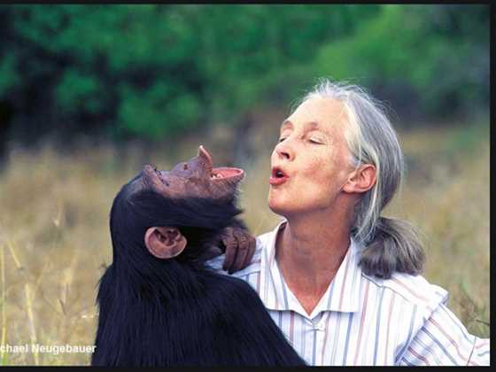 Dr. Jane Goodall - Perth