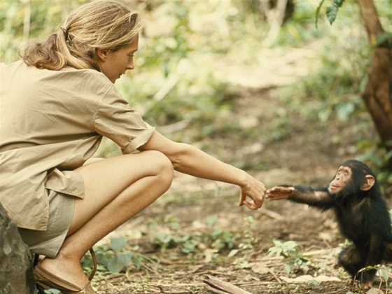 An Evening with Dr. Jane Goodall - Melbourne