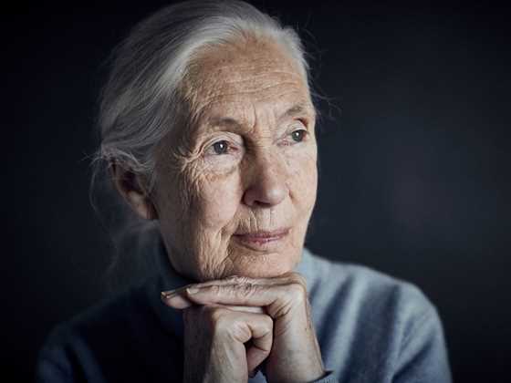 Jane Goodall Sydney